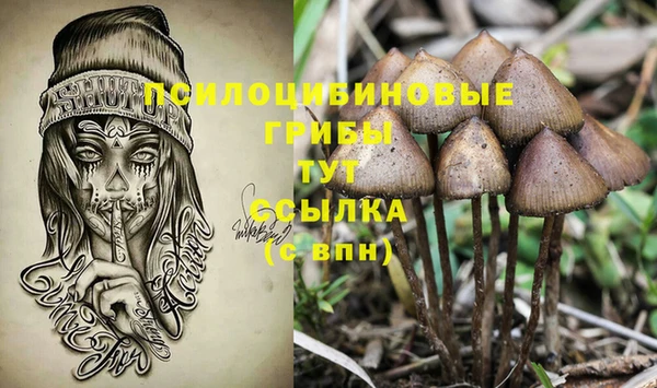 гидропоника Алексеевка