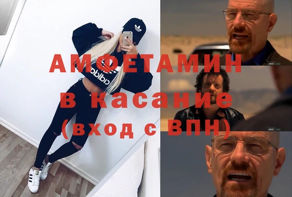 мет Алексин