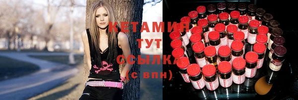 мет Алексин