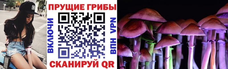 Галлюциногенные грибы мухоморы как найти закладки Гурьевск